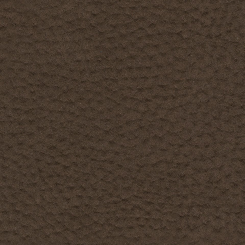 Next-Gen Gaucho Living Room