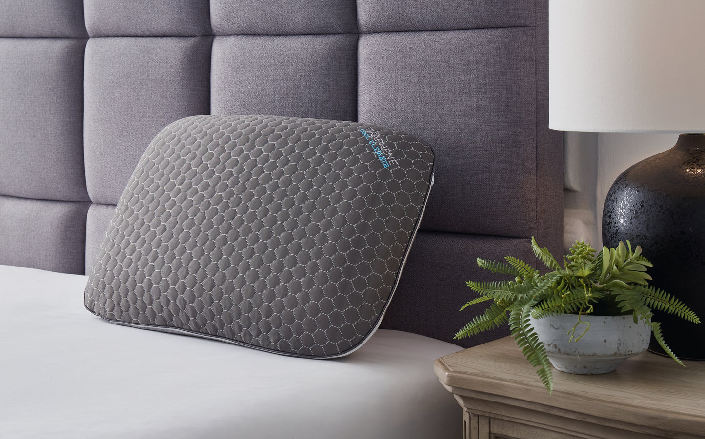 Cassel Furniture Outlet - Ashley Furniture - Zephyr 2.0 Pillows - Graphene Contour Pillow (6/CS) / Dark Gray - M52113