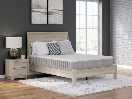 Cassel Furniture Outlet - Ashley Furniture - Terra Sleep Medium Mattresses - California King / White - M52351