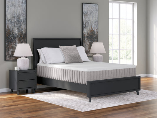 Cassel Furniture Outlet - Ashley Furniture - Terra Sleep Soft Mattresses - California King / White - M52451