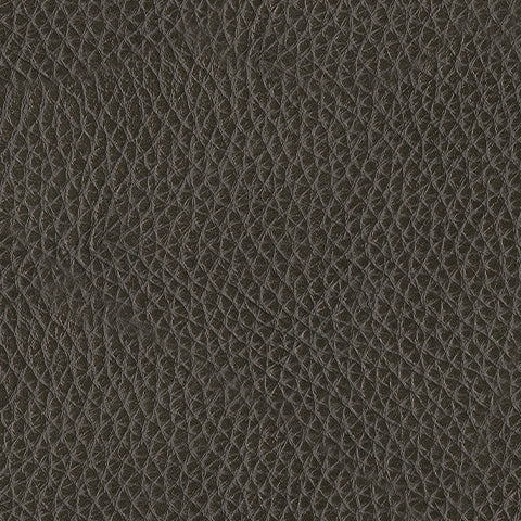 Center Line Sectional