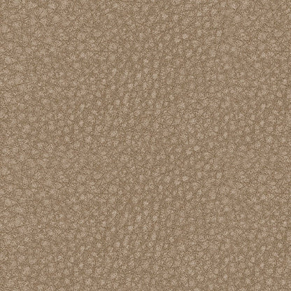 Next-Gen DuraPella Sectionals