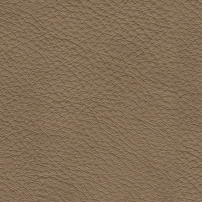 Veronella Sectional