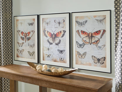 Cassel Furniture Outlet - Ashley Furniture - Jossletts Wall Decor - Wall Art Set (3/CN) / Orange/Black/Ivory - A8000490