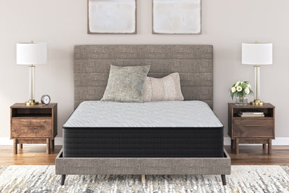 Cassel Furniture Outlet - Ashley Furniture - Palisades Plush Mattresses - Queen / Gray/Blue - M41631