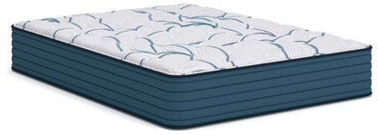Cassel Furniture Outlet - Ashley Furniture - Limited Edition Plush 3.0 Mattresses - Queen - M45131