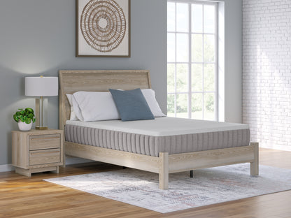 Cassel Furniture Outlet - Ashley Furniture - Terra Sleep Firm Mattresses - Queen / White - M52231