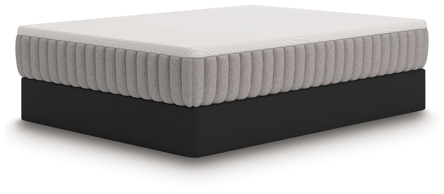 Terra Sleep Medium Mattresses